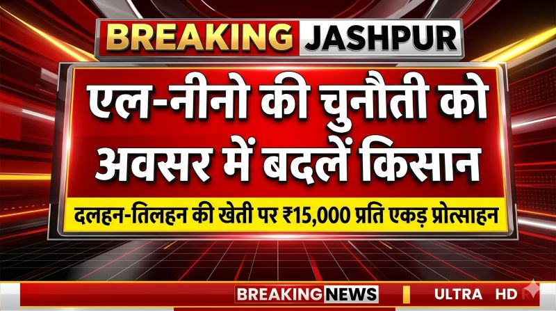जशपुर : कम बारिश का खतरा, लेकिन कमाई का बड़ा अवसर ; धान छोड़ें, इन फसलों से बढ़ाएं मुनाफा और पाएं सरकारी बोनस!