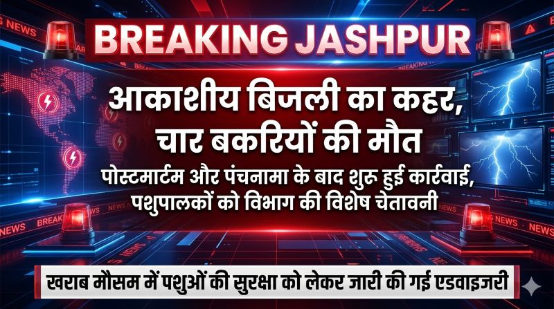 गरज-चमक बनी जानलेवा: कंदईबहार में बिजली गिरने से चार बकरियां मरीं, पोस्टमार्टम और पंचनामा के बाद मुआवजा प्रक्रिया तेज, पशुपालकों को जारी की गई अहम चेतावनी