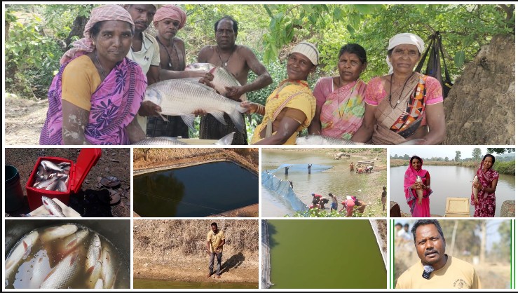 विशेष लेख : प्रधानमंत्री मत्स्य संपदा योजना से जशपुर में मत्स्य क्रांति, 22 महीनों में 22,805 मीट्रिक टन उत्पादन का नया कीर्तिमान; हजारों किसानों की आय और आत्मनिर्भरता में ऐतिहासिक बढ़ोतरी