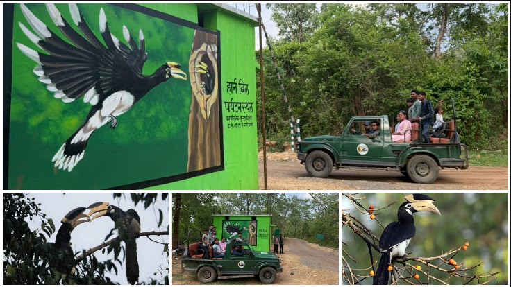 हॉर्नबिल संरक्षण से रोजगार तक बड़ा मॉडल, पीवीटीजी गांवों में पर्यटन क्रांति की दस्तक