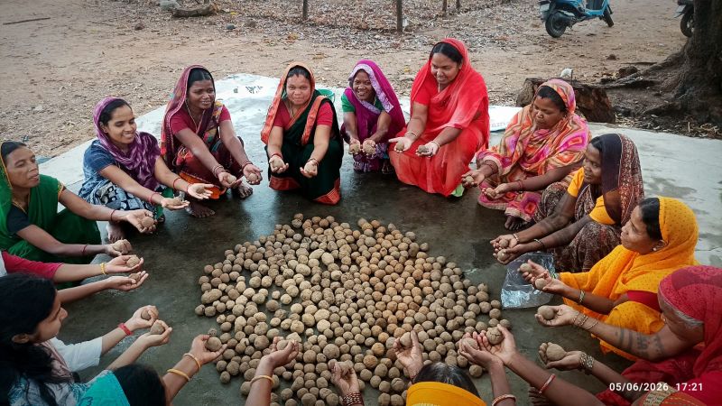 प्रकृति संरक्षण के लिए जनभागीदारी का बड़ा अभियान: दुलदुला में सीड बॉल निर्माण से वनीकरण को मिलेगी नई गति, हरित जशपुर के निर्माण का संकल्प