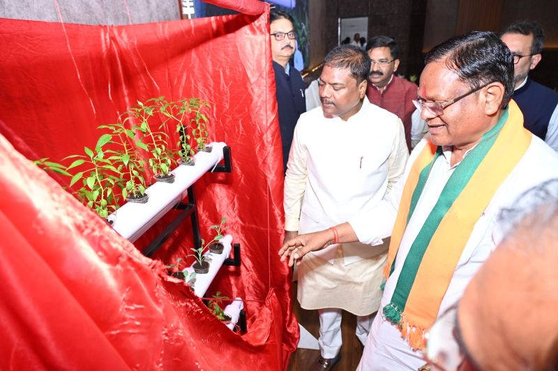 खेती का भविष्य बदल रही हाइड्रोपोनिक्स तकनीक: कम जगह, कम लागत और शानदार पैदावार का स्मार्ट मॉडल