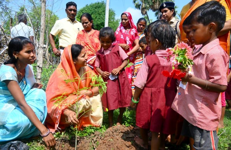 बस्तर से सुपोषण और हरियाली का संदेश, मंत्री लक्ष्मी राजवाड़े ने लगाए मुनगा-पपीता के पौधे