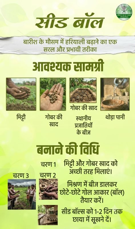 विशेष लेख : सीड बॉल अभियान- हरियाली बढ़ाने का सरल और प्रभावी माध्यम, जनभागीदारी से साकार हो रहा हरित छत्तीसगढ़ का संकल्प