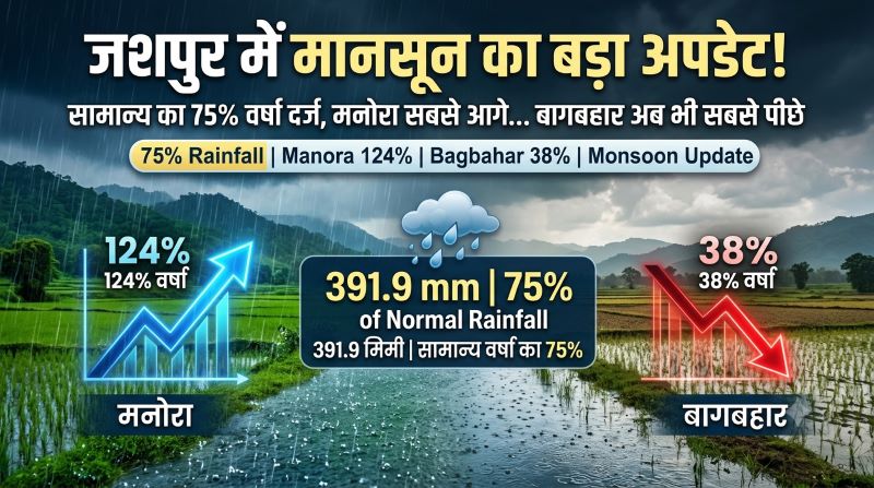 कहीं झमाझम तो कहीं सूखे जैसे हालात! जशपुर में मनोरा सबसे आगे, बागबहार सबसे पीछे, जिले में अब तक सामान्य का सिर्फ 75% मानसून