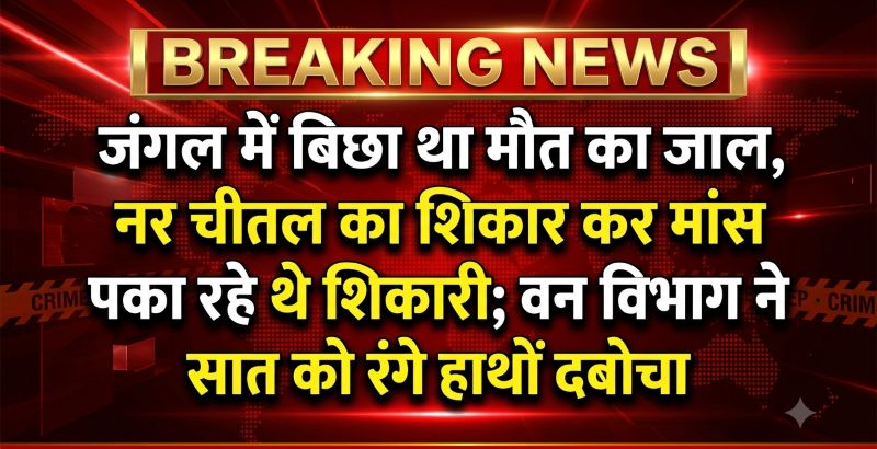 चीतल का शिकार कर मना रहे थे जश्न, तभी वन विभाग ने मारी दबिश; सात शिकारी गिरफ्तार, सीधे जेल पहुंचे