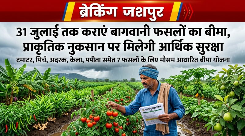 जशपुर के किसानों के लिए जरूरी सूचना! 31 जुलाई तक कराएं बागवानी फसलों का बीमा, प्राकृतिक नुकसान पर मिलेगी आर्थिक सुरक्षा