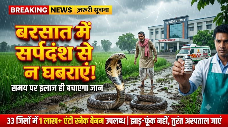 बरसात में सर्पदंश से न घबराएं, समय पर इलाज से बच सकती है हर जान; प्रदेशभर के अस्पतालों में 1 लाख से अधिक एंटी स्नेक वेनम वायल उपलब्ध