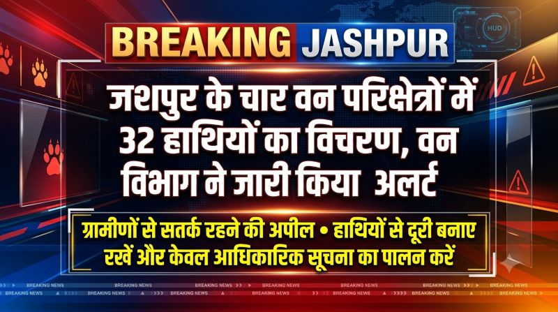 जशपुर के चार वन परिक्षेत्रों में 32 हाथियों का विचरण, वन विभाग अलर्ट; ग्रामीणों से सतर्क रहने की अपील