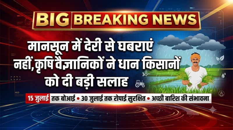 मानसून में देरी से न हों परेशान, कृषि वैज्ञानिकों की सलाह—15 जुलाई तक करें धान की बोआई, 30 जुलाई तक रोपाई सुरक्षित
