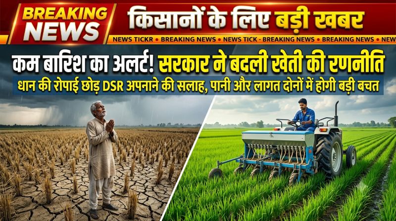 अल्प वर्षा का खतरा, सरकार की बड़ी सलाह! DSR तकनीक से बचाएं पानी और लागत, दलहन-तिलहन की खेती पर दें जोर
