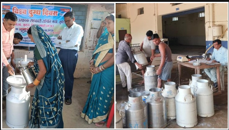 धमतरी में श्वेत क्रांति की नई इबारत! महिला शक्ति और सहकारिता के दम पर गांव-गांव पहुंची डेयरी समृद्धि, हजारों परिवार बन रहे आत्मनिर्भर