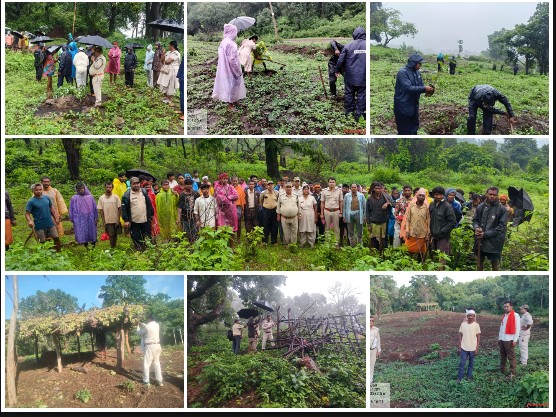 अतिक्रमणकारियों पर वन विभाग का बड़ा प्रहार, 3 हेक्टेयर वनभूमि बचाकर 5 हजार पौधों से किया हराभरा, जशपुर से अवैध कब्जाधारियों को सख्त चेतावनी