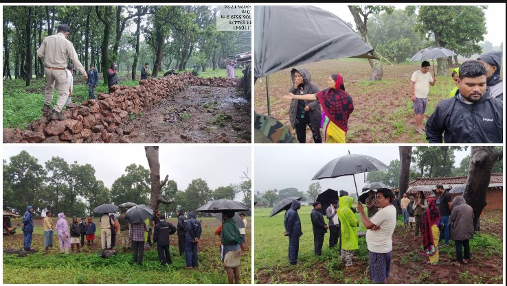 वनभूमि कब्जाने वालों पर सख्त कार्रवाई, सन्ना वन परिक्षेत्र में अतिक्रमण हटाकर हरियाली लौटाने की पहल
