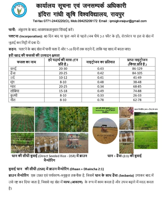 मानसून ने बदली खेती की रणनीति! कृषि वैज्ञानिकों ने जारी की नई एडवाइजरी, समय पर लेही विधि अपनाकर धान की फसल बचाने की अपील