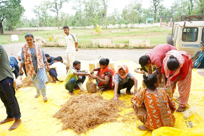 सुकमा में आत्मनिर्भरता की नई मिसाल: मशरूम उत्पादन प्रशिक्षण से 25 आत्मसमर्पित युवाओं को मिला स्वरोजगार का नया रास्ता