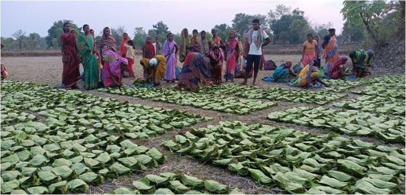 वनाश्रित परिवारों को आर्थिक मजबूती, जशपुर में करोड़ों की तेन्दूपत्ता पारिश्रमिक एवं प्रोत्साहन राशि का ऑनलाइन भुगतान