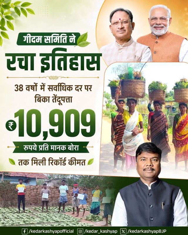 छत्तीसगढ़ के तेंदूपत्ता व्यापार में नया कीर्तिमान, गीदम समिति को मिली 10,909 रुपये प्रति मानक बोरा की रिकॉर्ड कीमत; वनाश्रित परिवारों की आय बढ़ाने की दिशा में ऐतिहासिक उपलब्धि