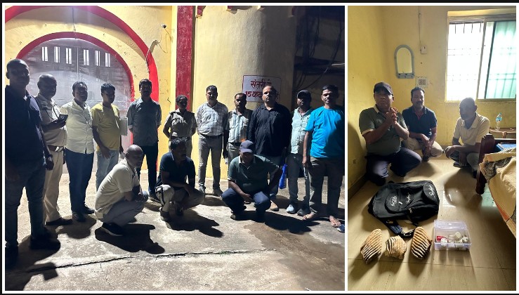 वन्यजीव तस्करी का बड़ा भंडाफोड़! हाथीदांत के साथ तीन तस्कर दबोचे गए, वन विभाग की संयुक्त टीम की बड़ी कार्रवाई