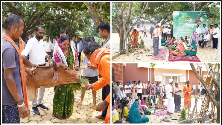 हरेली के रंग में रंगा मुख्यमंत्री निवास बगिया! श्रीमती कौशल्या साय ने कृषि औजारों की पूजा कर मांगी समृद्धि, प्रदेशवासियों को दीं पर्व की हार्दिक शुभकामनाएं