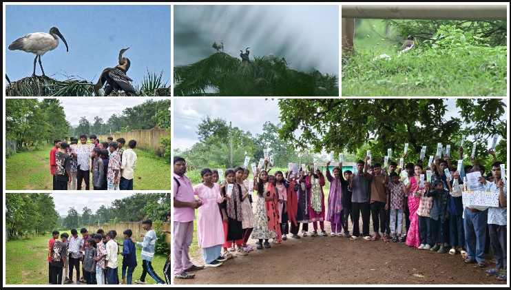 छत्तीसगढ़ की फिजाओं में गूंजा परिंदों का संसार! हरेली बर्ड फेस्टिवल में 954 चेकलिस्ट से मिली 211 पक्षी प्रजातियां, प्रकृति संरक्षण को मिला नया जोश
