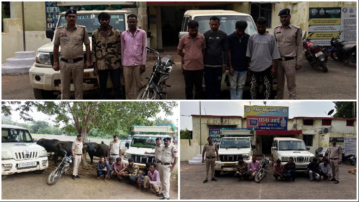 भैंसों से भरी पिकअप को पुलिस ने घेरा, मचा हड़कंप! पुरई में अवैध परिवहन का खुलासा, 6 आरोपी गिरफ्तार और 2 अपचारी बालक अभिरक्षा में