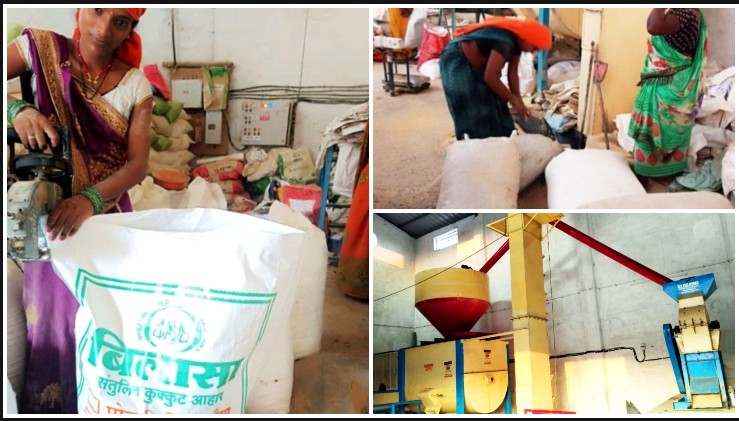 बिहान से बदली बिलासपुर की महिलाओं की तकदीर! अकलतरी की ‘लखपति दीदियों’ ने संभाला पशु आहार संयंत्र, आधुनिक मशीनों से उत्पादन कर बनाई नियमित कमाई और आत्मनिर्भरता की नई मिसाल