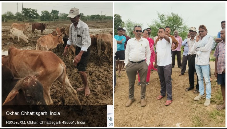 बारिश से गौधाम में जलभराव, पशुओं की मौत पर प्रशासन अलर्ट! जांच टीम ने किया निरीक्षण, 4 मौतें वृद्धावस्था से तो 2 अन्य कारणों से होने की पुष्टि
