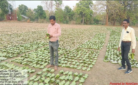 अबुझमाड़ में पहली बार खुला तेन्दूपत्ता फड़, बदल गई 22 गांवों की तस्वीर!365 संग्राहकों को गांव के पास ही मिला खरीद केंद्र, DBT से सीधे खातों में पहुंचे 8.86 लाख रुपये, नई नीति से बढ़ी आय और आसान हुआ रोजगार
