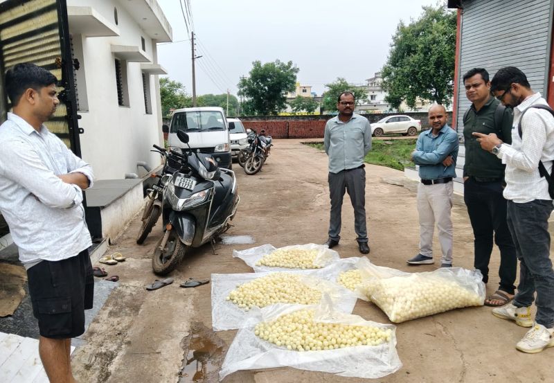 त्योहार से पहले मिठाई कारोबार पर बड़ा शिकंजा! गंदगी और मक्खियों के बीच तैयार 92 किलो चमचम पकड़ी गई, खाद्य विभाग ने मौके पर कराया नष्ट