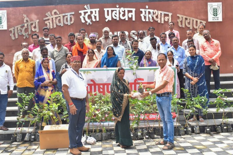 किसानों को मिला सेहत और आत्मनिर्भरता का मंत्र, ‘पोषण वाटिका’ प्रशिक्षण में 62 किसान लाभान्वित; 18 प्रकार के सब्जी बीज और फलदार पौधे किए गए निशुल्क वितरित