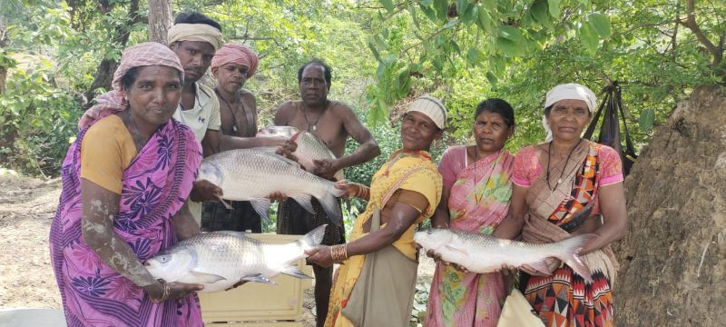 विष्णु भैया की पहल से तालाब बना महिलाओं की तरक्की का आधार : मछली पालन से सशक्त हुईं मनोरा और दुलदुला की महिलाएं, लाखों की आय से बदली जीवन की तस्वीर