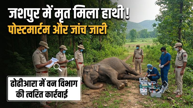 खेत के पास मृत हाथी मिलने से वन विभाग में मचा हड़कंप, ढोढीआरा पहुंची मैदानी टीम ने संभाला मोर्चा; पोस्टमार्टम और घटनास्थल से मिले साक्ष्यों के आधार पर मौत के कारणों की जांच