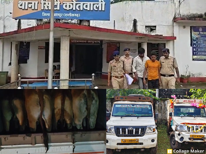 जशपुर में आधी रात पुलिस का ‘ऑपरेशन शंखनाद’ : तस्करों की चाल नाकाम, दो पिक-अप से 08 गौ-वंश मुक्त, दो आरोपी भेजे गए जेल, फरार आरोपियों की पतासाजी जारी.