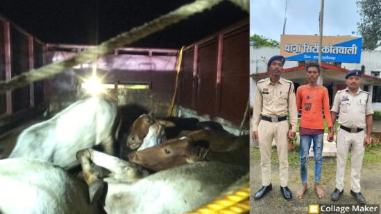 ऑपरेशन शंखनाद के अंतर्गत जशपुर पुलिस की बड़ी कार्यवाही : एक साथ 17 गौ-वंश बरामद, एक आरोपी भेजा गया जेल, 9 गौ-वंशों से भरी पिक-अप भी की गई जप्त, की जा रही फरार आरोपियों की पतासाजी.
