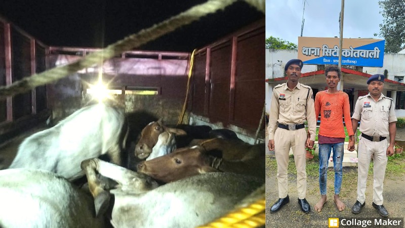 ऑपरेशन शंखनाद के अंतर्गत जशपुर पुलिस की बड़ी कार्यवाही : एक साथ 17 गौ-वंश बरामद, एक आरोपी भेजा गया जेल, 9 गौ-वंशों से भरी पिक-अप भी की गई जप्त, की जा रही फरार आरोपियों की पतासाजी.