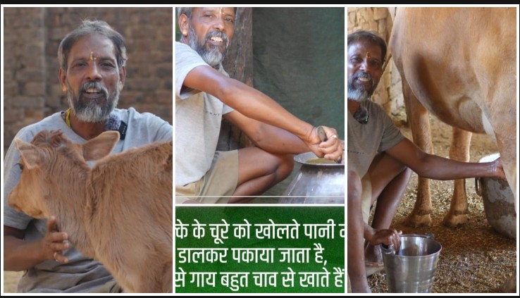 विशेष लेख : किसान मधुसुदन के लिए गौपालन बना मजबूत आय का साधन, 27 गाय प्रतिदिन 60 लिटर देती है दूध, गौपालन आय का उत्तम साधन