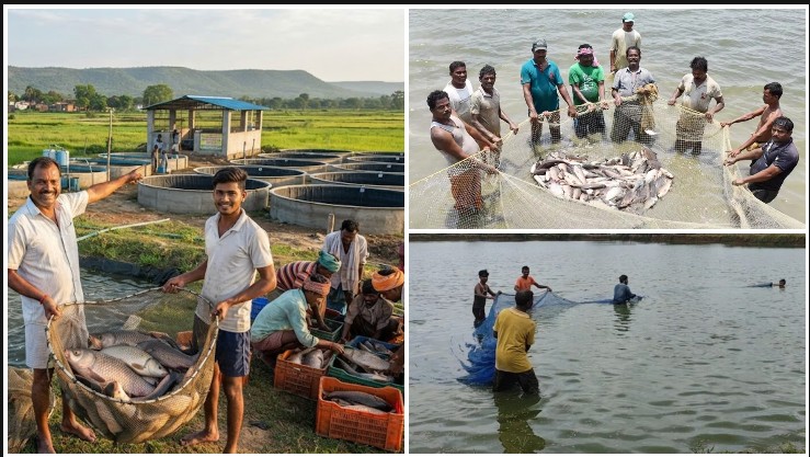 सरकारी अनुदान का सहारा, मछली पालन बना कमाई का पावरहाउस! महासमुंद के किसानों ने पारंपरिक खेती से आगे बढ़कर रचा आत्मनिर्भरता का नया मॉडल, गांवों में रोजगार की भी बरसी सौगात