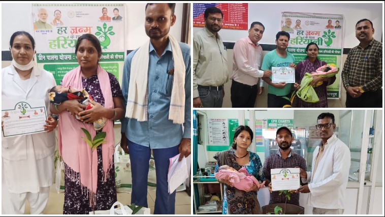 प्रोजेक्ट ग्रीन पालना’ से मातृत्व के साथ हरियाली का भी जन्म, प्रसूता माताओं को मिल रहे 5 फलदार पौधे; रायपुर में अब तक 13,514 माताओं को 67,570 पौधे वितरित
