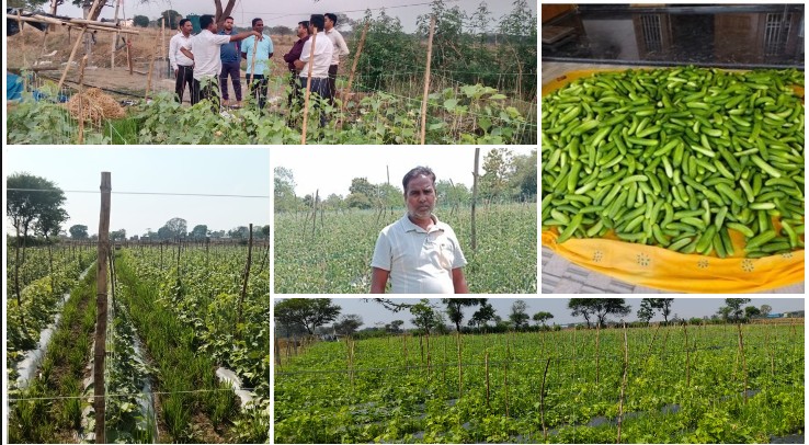 बारिश पर निर्भर खेती से आधुनिक कृषि तक पहुंची मुकेश की कहानी, ड्रिप सिंचाई ने बदली खेती की तस्वीर; एक एकड़ खीरे से 2.25 लाख की आय, अब 4 एकड़ में टमाटर की तैयारी