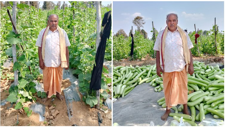 लौकी की खेती से वासुदेव प्रधान ने बदली आमदनी की तस्वीर, एक हेक्टेयर में 250 से 300 क्विंटल उत्पादन कर कमाया 2.07 लाख रुपये का शुद्ध लाभ
