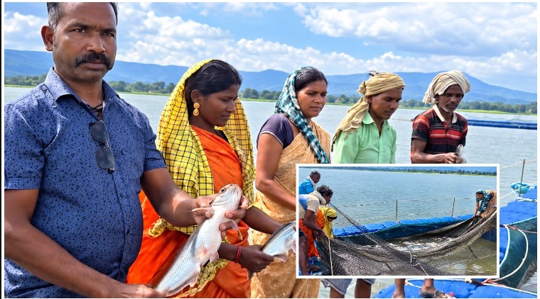 पारंपरिक मत्स्याखेट से आधुनिक केज कल्चर तक मल्हनिया की नई कहानी, प्रधानमंत्री मत्स्य संपदा योजना और डीएमएफटी से 54 केज स्थापित—44 मछुआरों को मिला रोजगार और आय का मजबूत सहारा