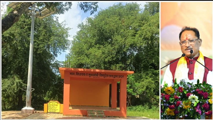 श्री टोला में ग्रामीणों की लंबे समय की मांग हुई पूरी, दुर्गा पूजा स्थल पर हाई मास्ट लाइट से जगमगाया परिसर; ₹3 लाख के रंगमंच से सजेगा गांव का हर आयोजन