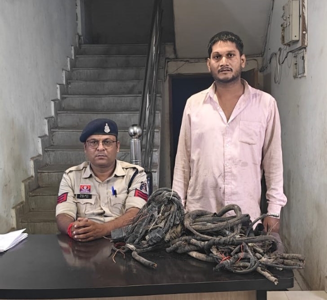 रात के अंधेरे में हाइवा का वायर काटकर चोरी, पूर्व कर्मचारी निकला आरोपी; चकरभाठा पुलिस ने माल समेत किया गिरफ्तार