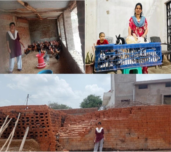 हालात ने छीनी राह तो सक्षम योजना बनी सहारा सफीना ने मेहनत से लिखी आत्मनिर्भरता की नई कहानी, कभी घर चलाने के लिए संघर्ष, आज दूसरों को काम देने की ताकत—धमतरी की सफीना बनीं प्रेरणा.