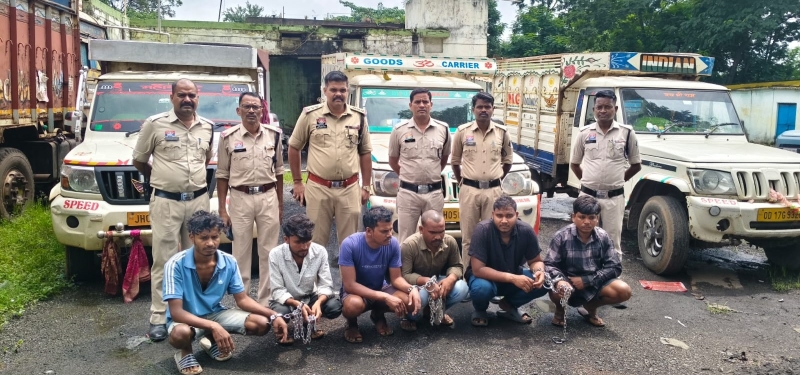 रायगढ़ पुलिस का बड़ा एक्शन, 3 पिकअप में ले जाए जा रहे 6 गौवंशों को कराया रेस्क्यू! पुलिस टीम पर वाहन चढ़ाकर भागने की कोशिश, 6 आरोपी गिरफ्तार—₹17.50 लाख का माल जब्त