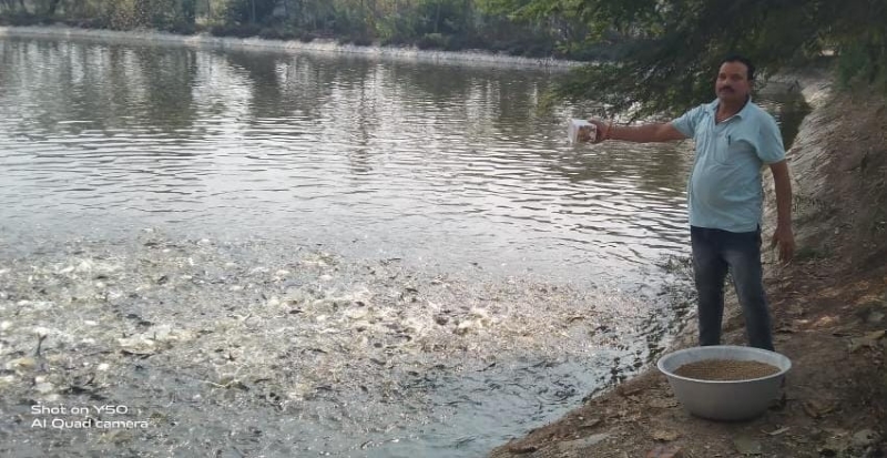 बदली किसान गुलाब पटेल की तकदीर, 0.40 हेक्टेयर के तालाब में 250 क्विंटल मछली उत्पादन से हर साल 10 से 15 लाख रुपये का शुद्ध लाभ