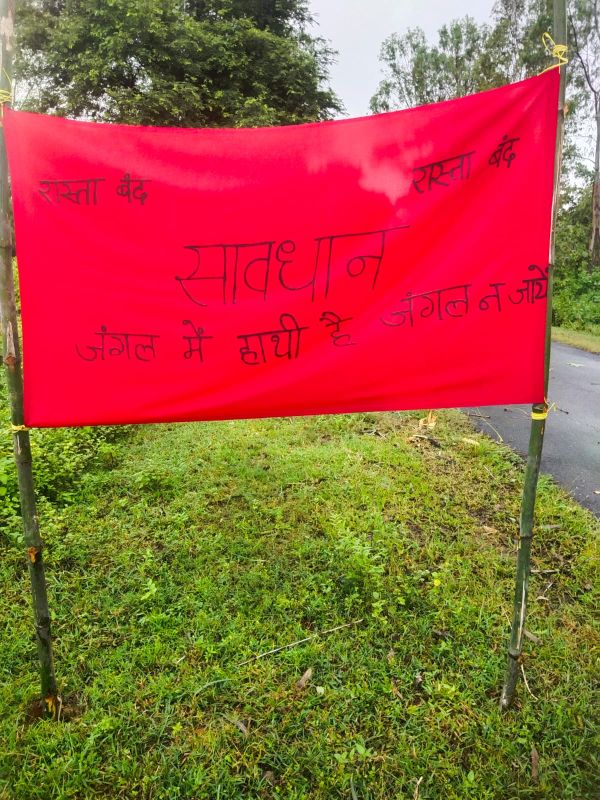 जशपुर में हाथियों के दल की मौजूदगी से बढ़ी सतर्कता, खड़ामाचा जंगल में लगाए गए चेतावनी बैनर; वन विभाग ने ग्रामीणों को किया सावधान
