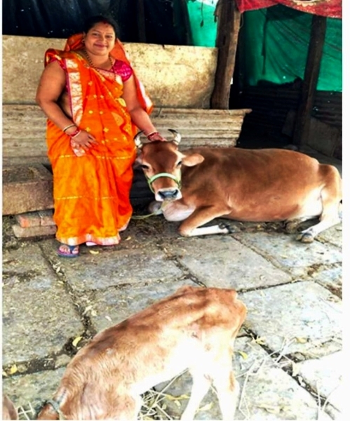छोटी बचत से आत्मनिर्भरता की बड़ी उड़ान, महतारी वंदन की राशि से सरिता ने खड़ा किया दुग्ध व्यवसाय—नियमित आमदनी से परिवार को दे रहीं आर्थिक संबल