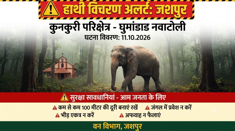 ढोंगाअम्बा से धुमांडाड तक हाथी की हलचल, चर्च परिसर में घुसने के बाद अब किस ओर बढ़ेगा गजराज? रेमते के जंगल में निगरानी तेज, नजदीक जाने और भीड़ जुटाने पर वन विभाग की चेतावनी